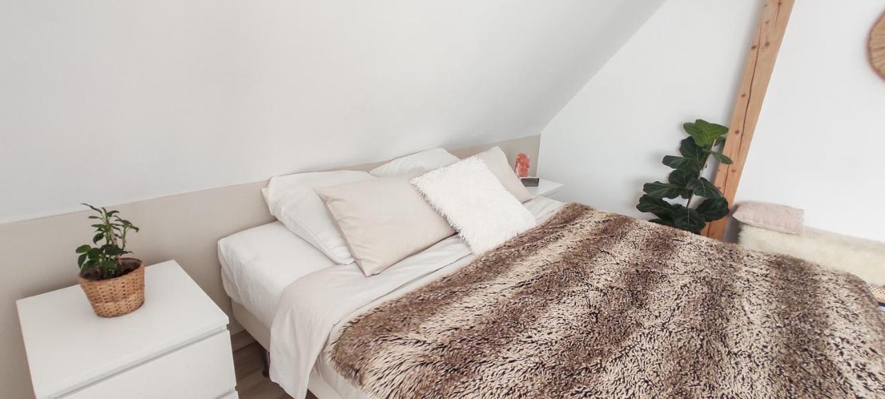 Cocoon Bed And Breakfast Fegersheim Buitenkant foto